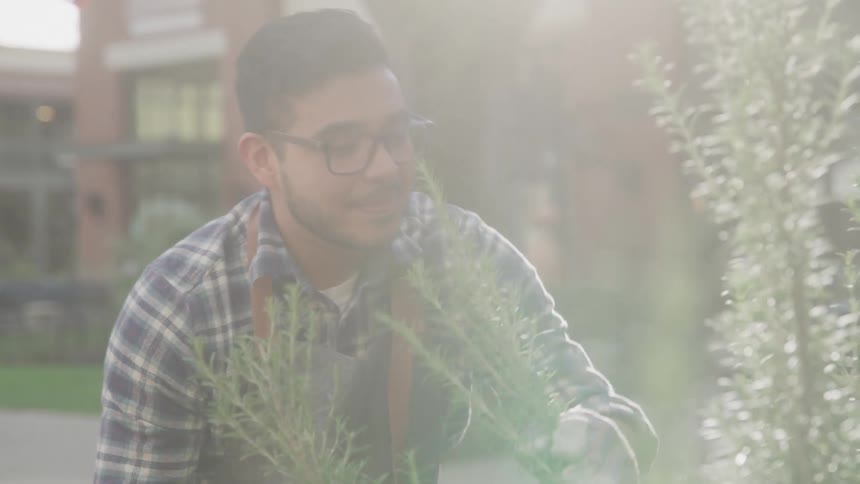 A person in gloves and a plaid shirt tends to a patch of herbs in an outdoor garden beside a brick building