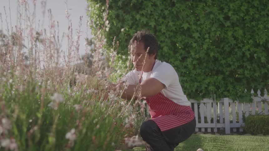 Man half kneels on the grass while working in the flowerbed on a sunny day