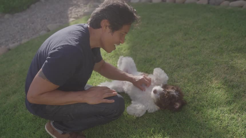 Man on grass petting the belly of a lying dog