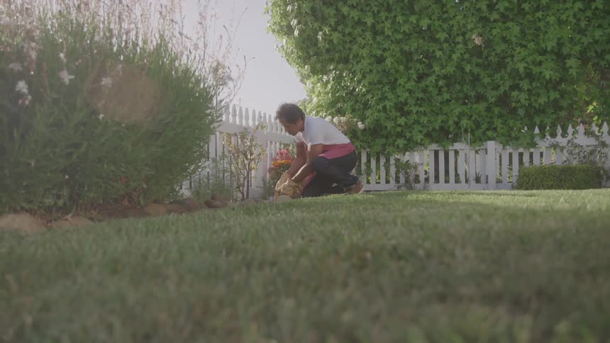 A person kneels in a garden tending to plants and flowers with a white picket fence and lush green foliage in the background under bright sunlight