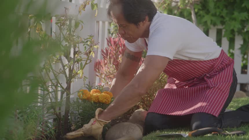 Man kneels in a garden planting flowers near a white fence