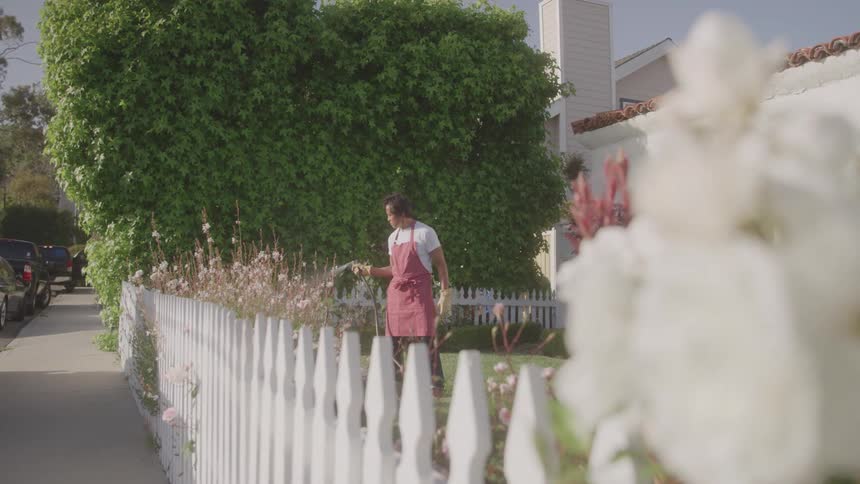 A woman tends to flowers in a front yard garden along a white picket fence