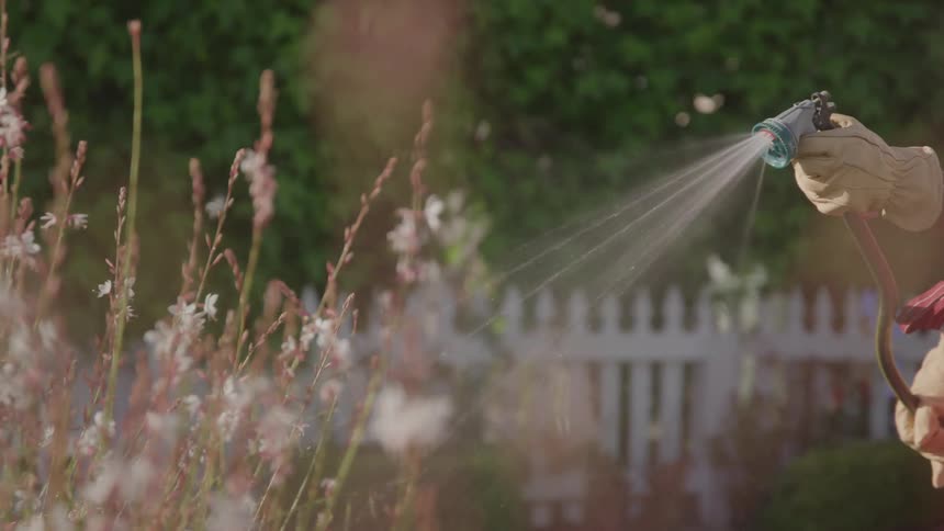 Person wearing gloves waters flowers with hose white fence and greenery in background