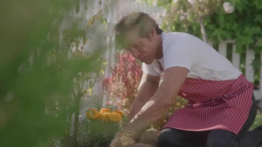 A man wearing a white shirt and a red striped apron kneels in a garden tending to plants and orange flowers