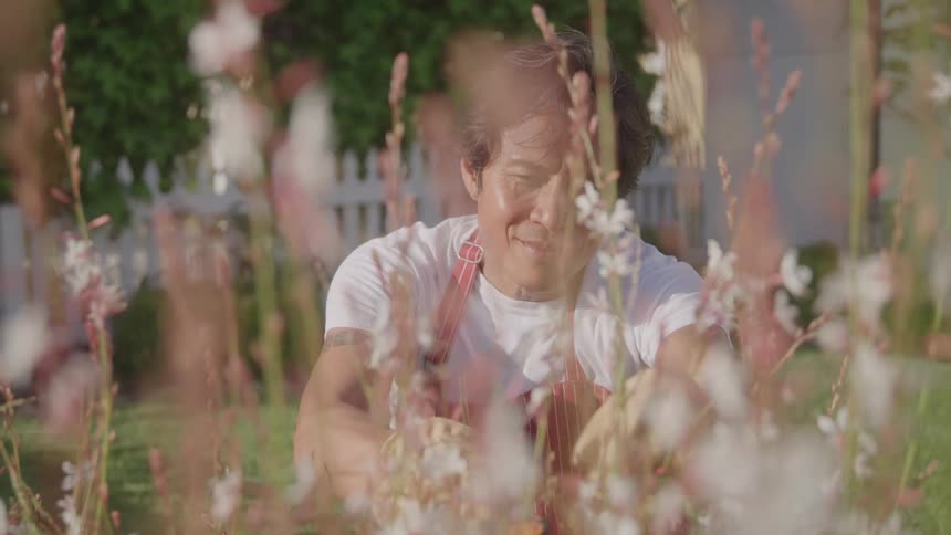 A man tends to flowers in a garden on a sunny day