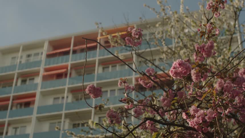 Wind blows the flowers outside of the apartment building