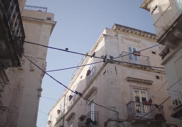 A building stands with a series of power lines with birds perched on the lines around midday