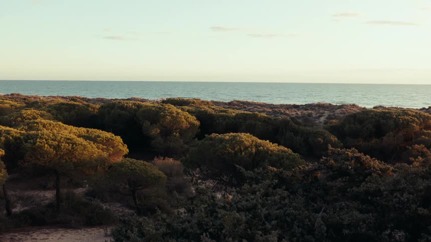 An island covered in trees and hills is visible with ocean views in sight around midday