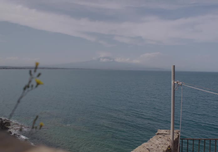 Peaceful ocean view from a coastal edge with railing and yellow flowers