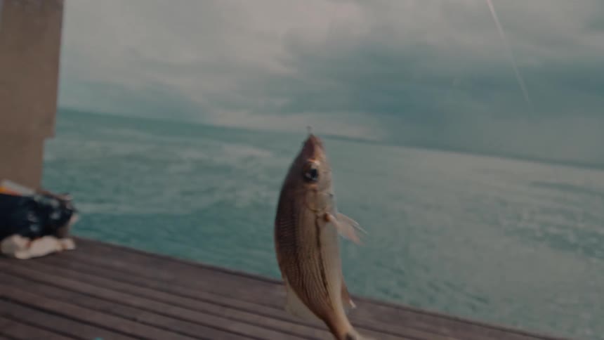 The fish is hanging from a fishing line on the pier