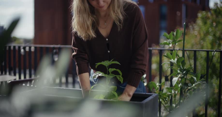 Woman planting a green plant in a pot