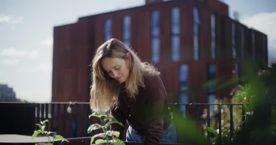 Woman planting a green plant seedling in a pot