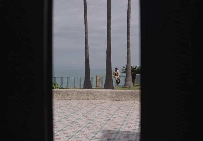 A person stands among tall palm trees