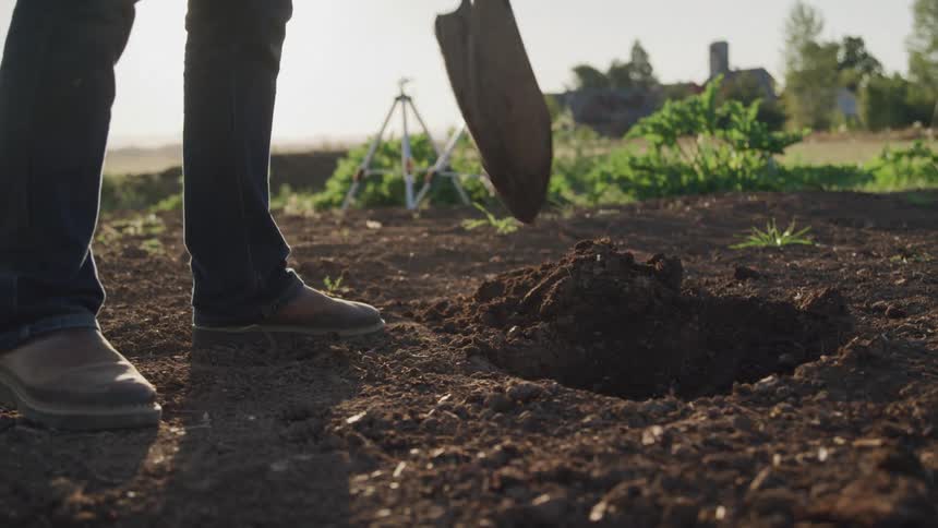 Person digs a hole in a garden set across the lawn from a rural home