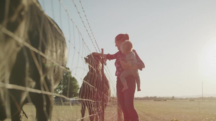 A woman holding a child nurturing cow with love in a sunny open field