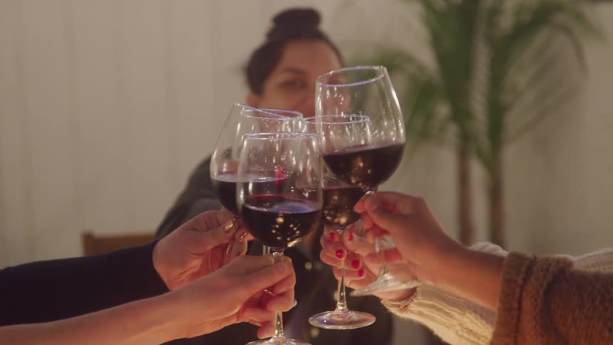 A group of friends raise their wine glasses for a toast while gathered around a table