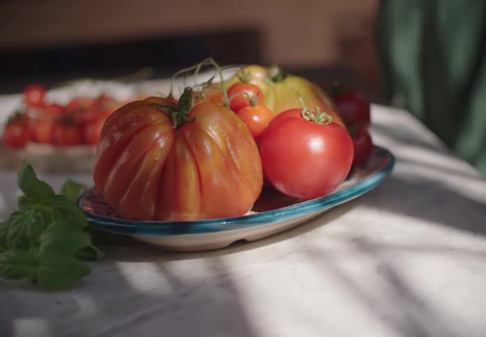 A plate of fresh heirloom tomatoes sits in sunlight on a kitchen counter
