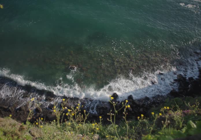 Highangle view of waves hitting rocky shore with wildflowers in front