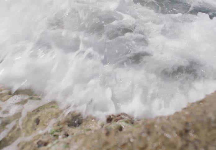 Waves crash over rocky shore covered in algae and sea foam