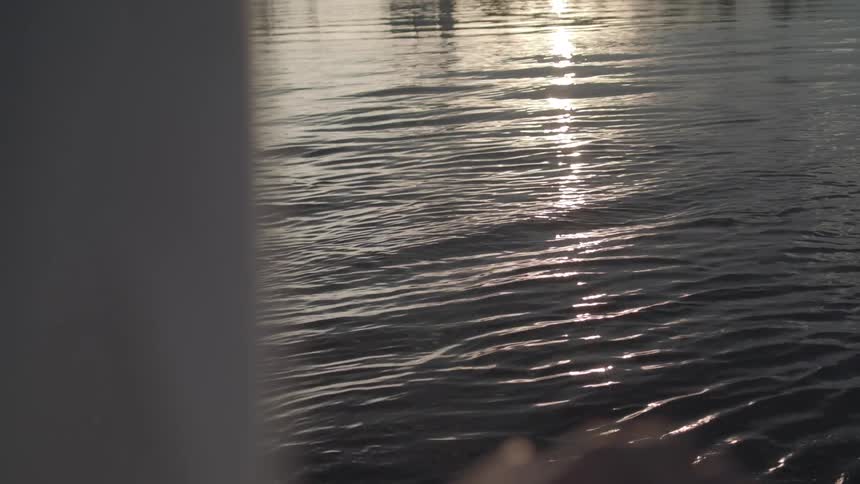 Sunlight is reflected in the water
