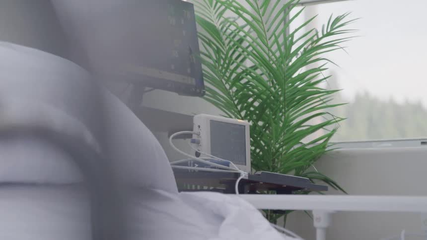 Hospital monitor and empty bed beside a window with sunlight and a potted plant
