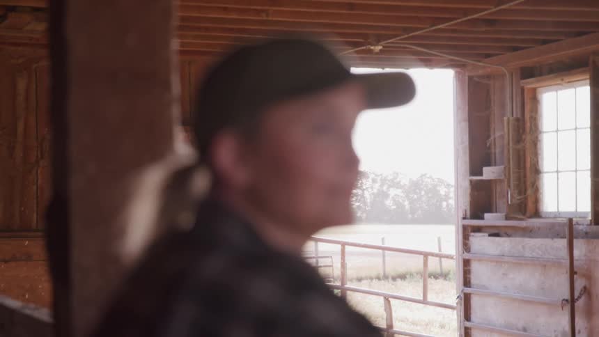 From inside a rustic wooden barn a silhouetted farmer in a cap looks out through an open doorway at a sunny field