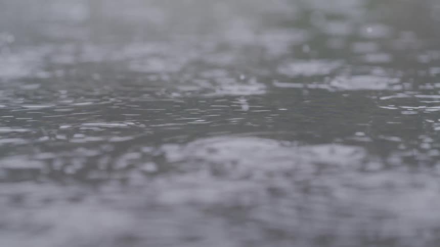 Raindrops ripple across a calm water surface