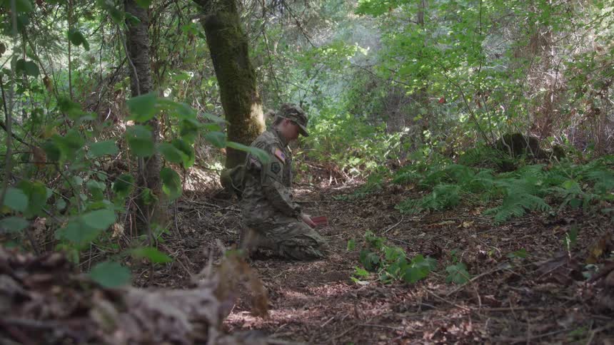 A person in military uniform kneels on the forest floor surrounded by dense underbrush and tall trees