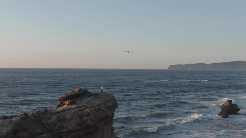 Ocean cliff and waves crashing below under a clear sky with a seagulls soaring above