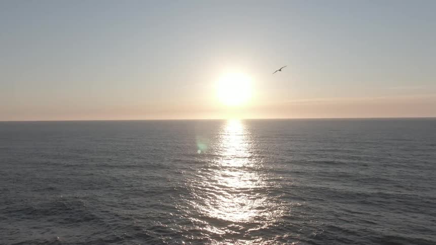 Sea landscape with flying birds and the sun on the horizon