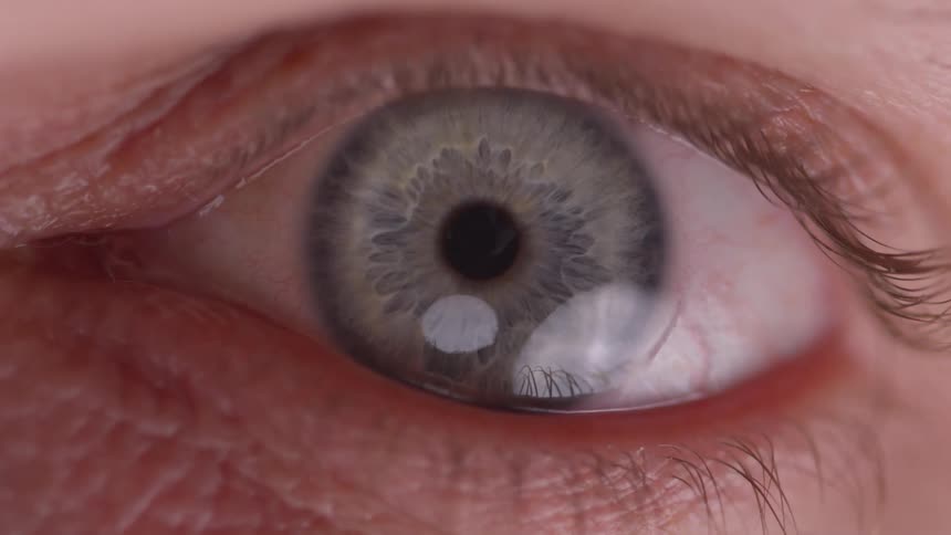 A closeup of a human eye reveals fine iris patterns in shades of gray