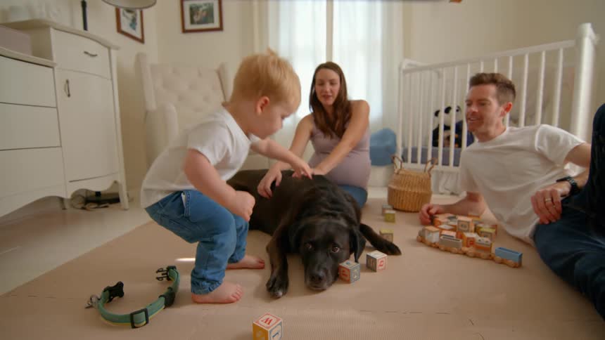 A toddler plays while parents relax beside a dog in a cozy nursery