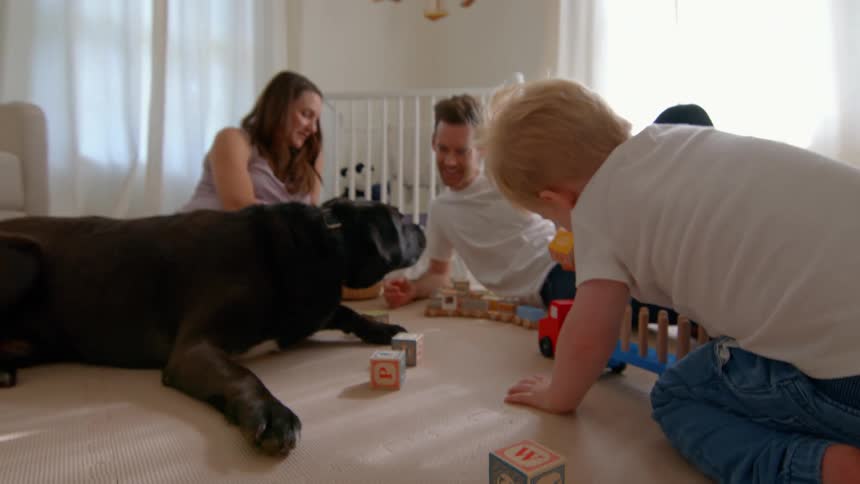 A family play with toys together on the floor
