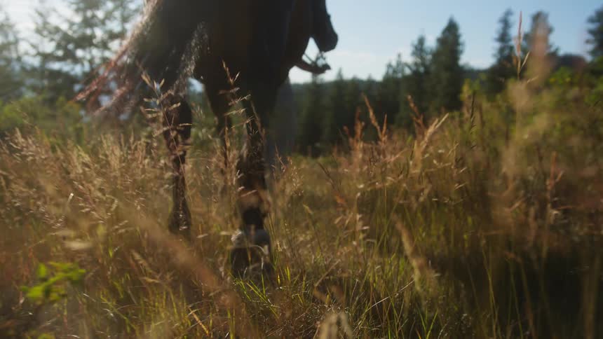 A woman is leading her horse through the grass