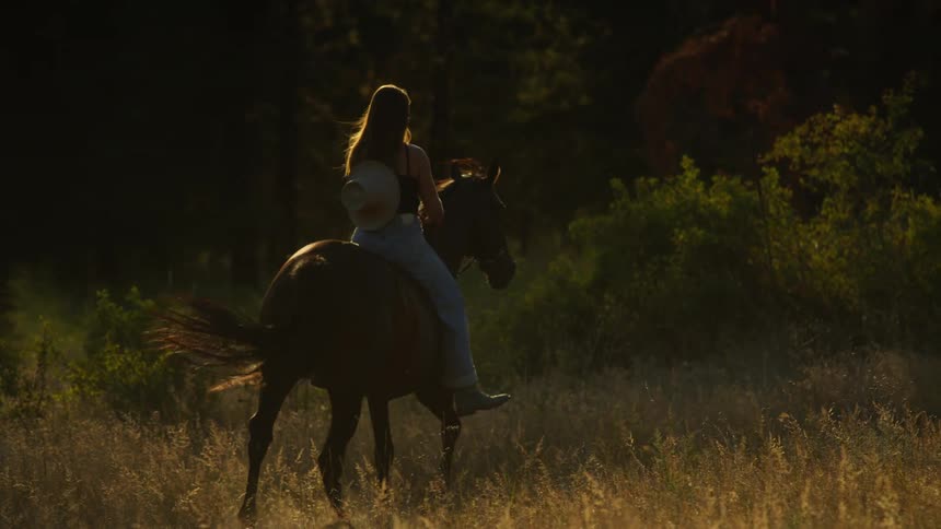 A woman rides the horse towards the forest