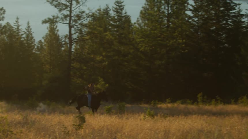 A woman rides horseback through a field