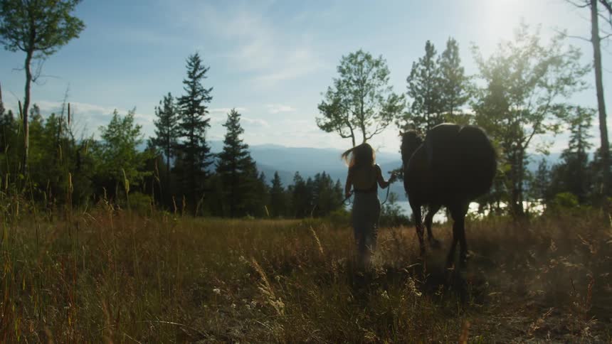 Young woman walks her horse down a field during daytime