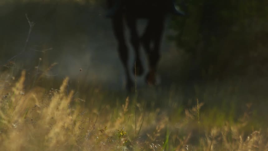 A person rides a horse in a grassland during daytime