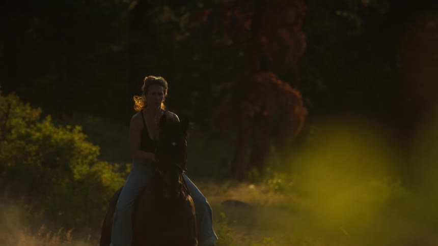 A person rides a horse through a forest trail at sunset