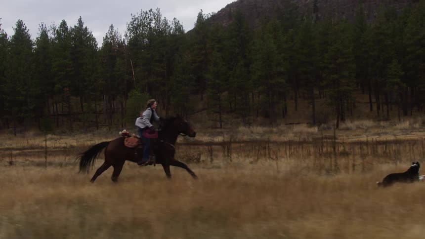 Young woman rides her horse behind her dog on a grassland during daytime