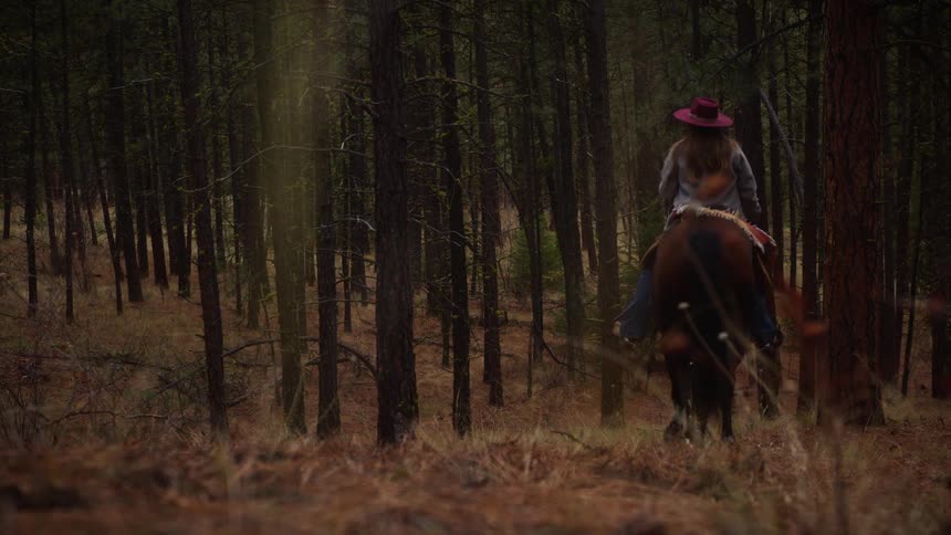 A person on horseback rides through a quiet forest with a dog following alongside