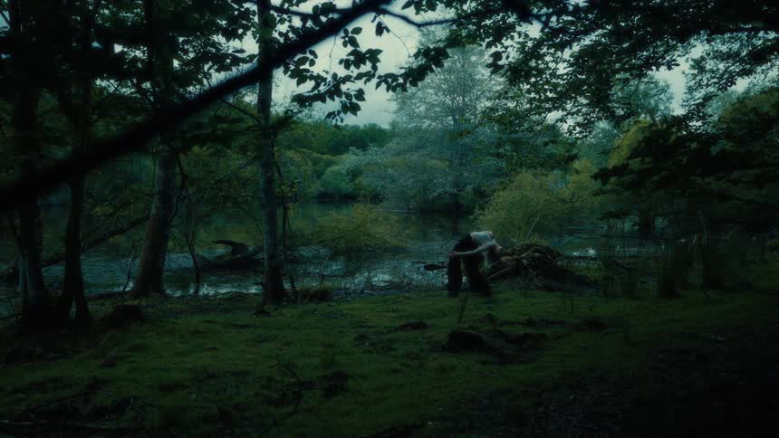 A woman dances through a dense forest beside a still reflective pond surrounded by thick green vegetation