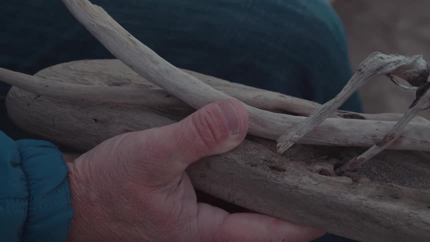 Hand holding wooden logs