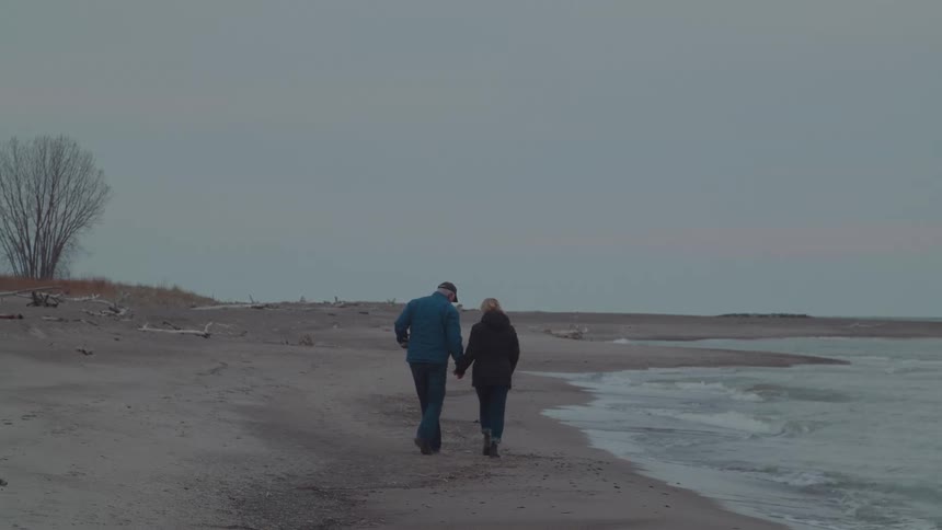Two people walk hand in hand along a quiet beach with gentle waves and a lone tree visible in the background