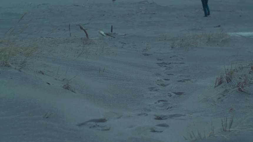 Person walking on the sand at the beach
