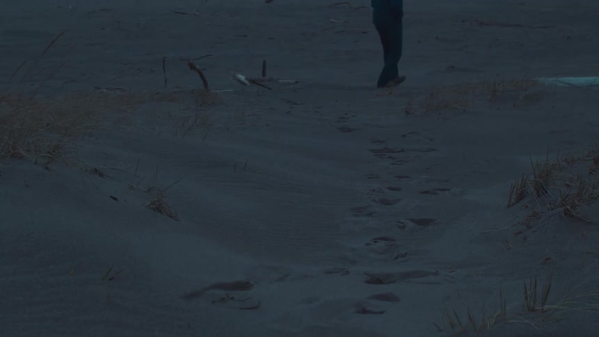 A person is going for a stroll on the beach
