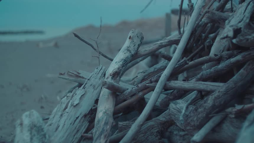 A person throws sticks and logs to a pile of dry wood at the beach during daytime