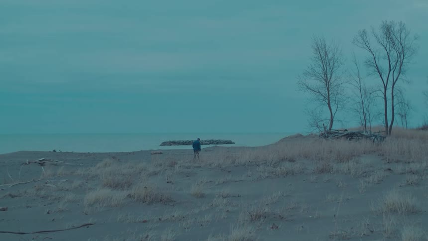 A person walks along a deserted beach lined with bare trees and patchy vegetation under a cloudy sky