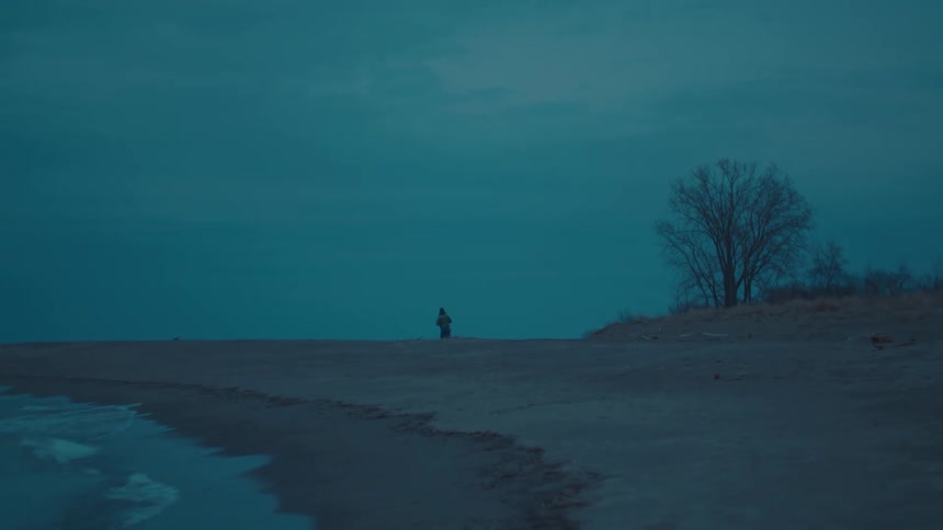 A lone figure walks along a deserted beach under a moody blue sky beside a barren tree