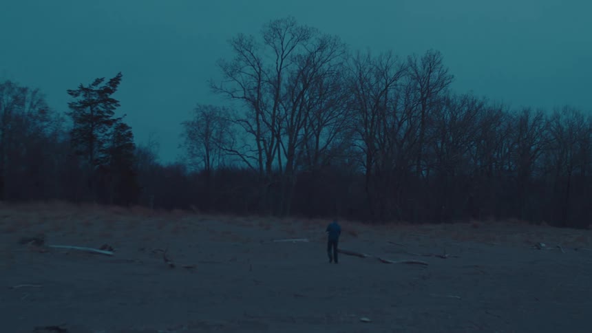 A person walks along a desolate beach framed by twisted leafless trees and scattered driftwood under a dim overcast sky